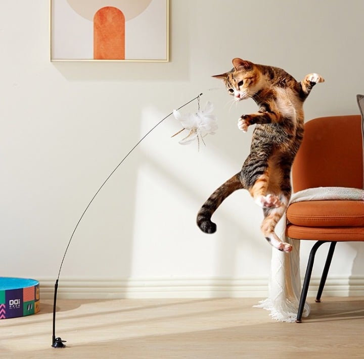 Jouet pour chat interactif en forme d’oiseau jouet pour chat interactif en forme doiseau