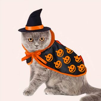 Déguisement halloween pour chat