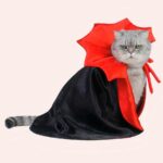 Déguisement halloween pour chat