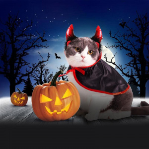 deguisement halloween chat corne rouge et cape
