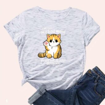 Tee-shirt gris clair avec petit chat roux dessiné