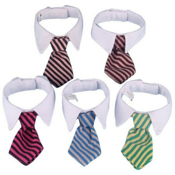 Col cravate à rayures pour chat