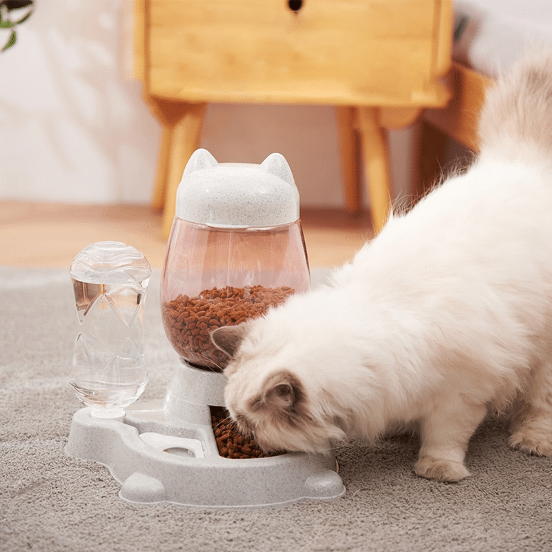 Fontaine à eau avec distributeur croquette pour chat distributeur multifonction pour chat