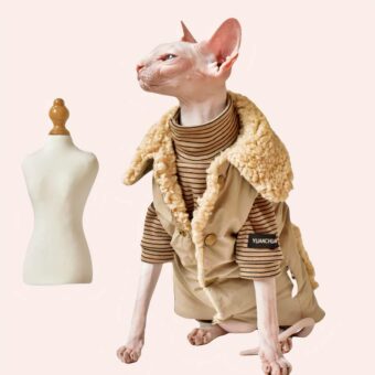 Manteau imperméable en laine chaude pour chat, très confortable porté par un chat dans une maison