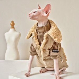 Manteau imperméable en laine chaude pour chat, très confortable porté par un chat dans une maison