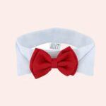 Nœud papillon rouge avec col blanc pour chat