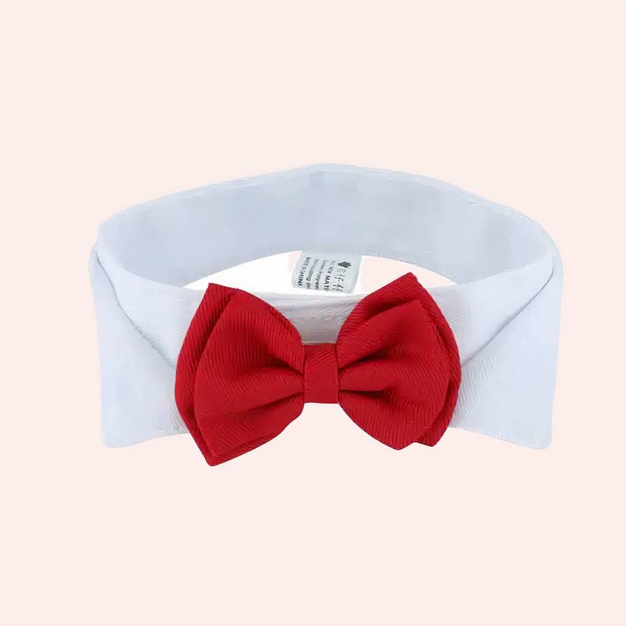 Nœud papillon avec col blanc pour chat