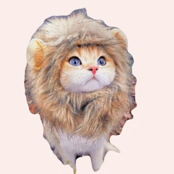 Perruque crinière de lion pour chat