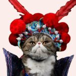 Perruque maya amusante pour chat