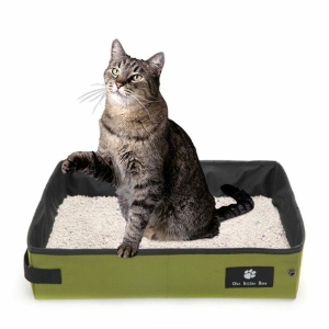 Bac à litière pliable et étanche pour chat avec litière et chat gris