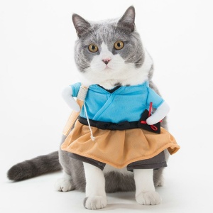 Costume de samouraï pour chat