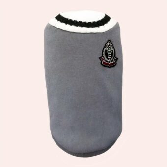 Pull d'hiver élégant pour chat