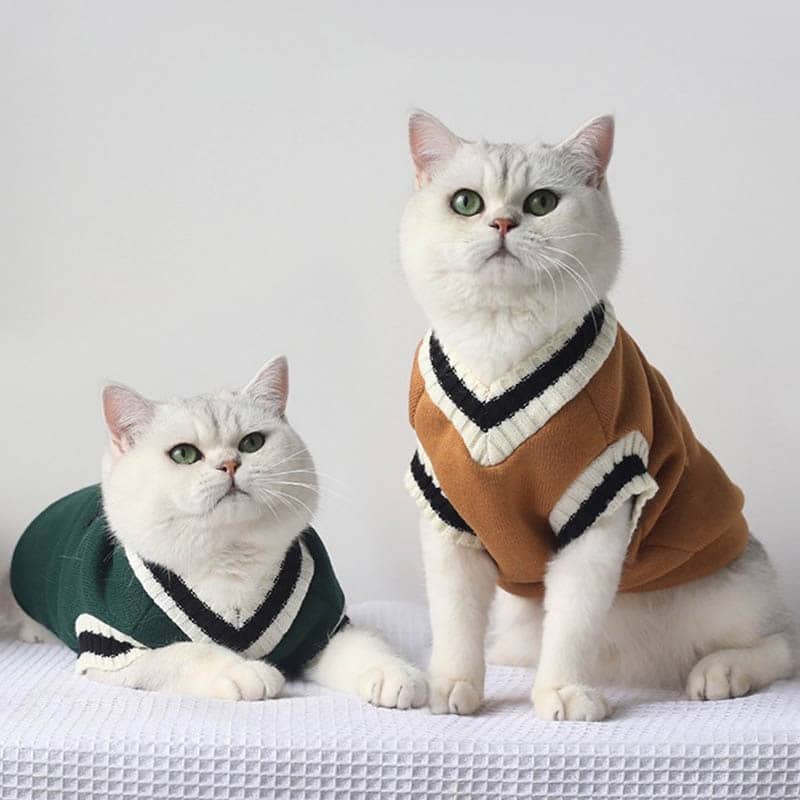 Pull d'hiver élégant pour chat jaune et vert avec deux chats blanc