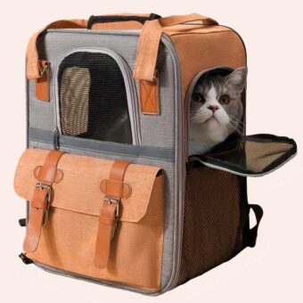 Sac à dos de transport grande capacité pour chats