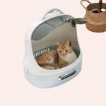 Sac de transport capsule pour chat avec un chat roux