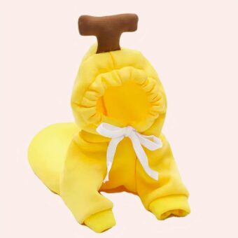 Vêtements de Cosplay pour chat