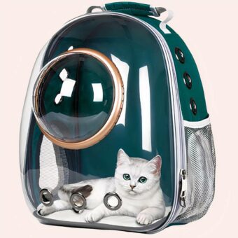 Sac à dos transparent pour chat et chaton de voyage avec petit hublot