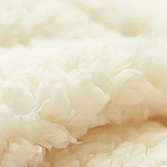 Sac de couchage blanc et marron avec un chat dedans sur fond gris.