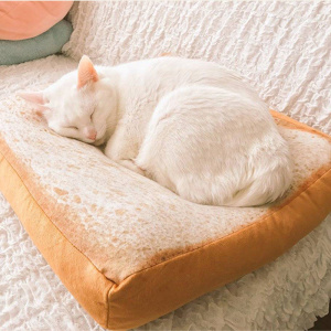 chat blanc installé sur son matelas imitant le visuel de tranche de pain de mie