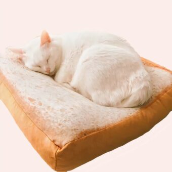 chat blanc installé sur son matelas imitant le visuel de tranche de pain de mie