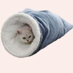 chatblanc se trouve dans un sac de couchage gris à l'extérieur, et blanc dedans, tout doux, posé sur de la moquette