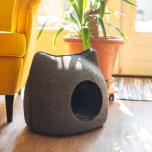 Lit pour chat mignon en forme d'œuf de couleur gris, posé sur du parquet devant un pot de plante