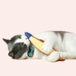 Jouet en forme de poisson de mer sphynx pour chats avec un chat qui joue avec
