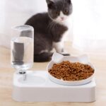 Photo d'un chaton gris et blanc assis derrière une gamelle blanche à double utilisation, le côté gauche dispose d'une bouteille d'eau à l'envers permettant une eau à disposition dans le bol, puis à droite un bol en forme de tête de chat rempli de croquettes, le tout posé au sol