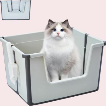 Un chat dans un Grand bac à litière de voyage pliable