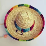 Sombrero pour chat vu du dessus.