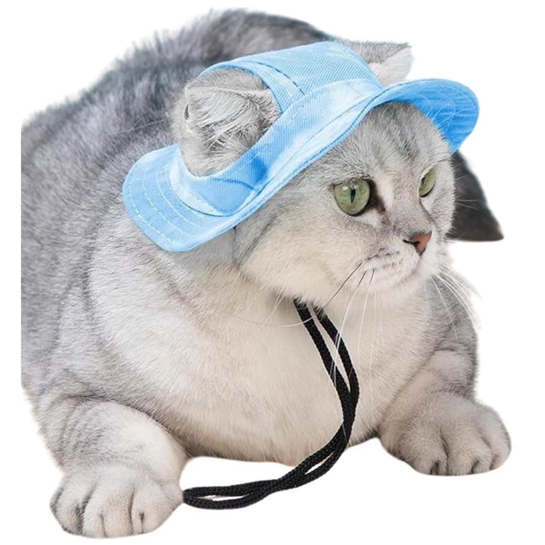 Chat gris portant le bob en coton bleu