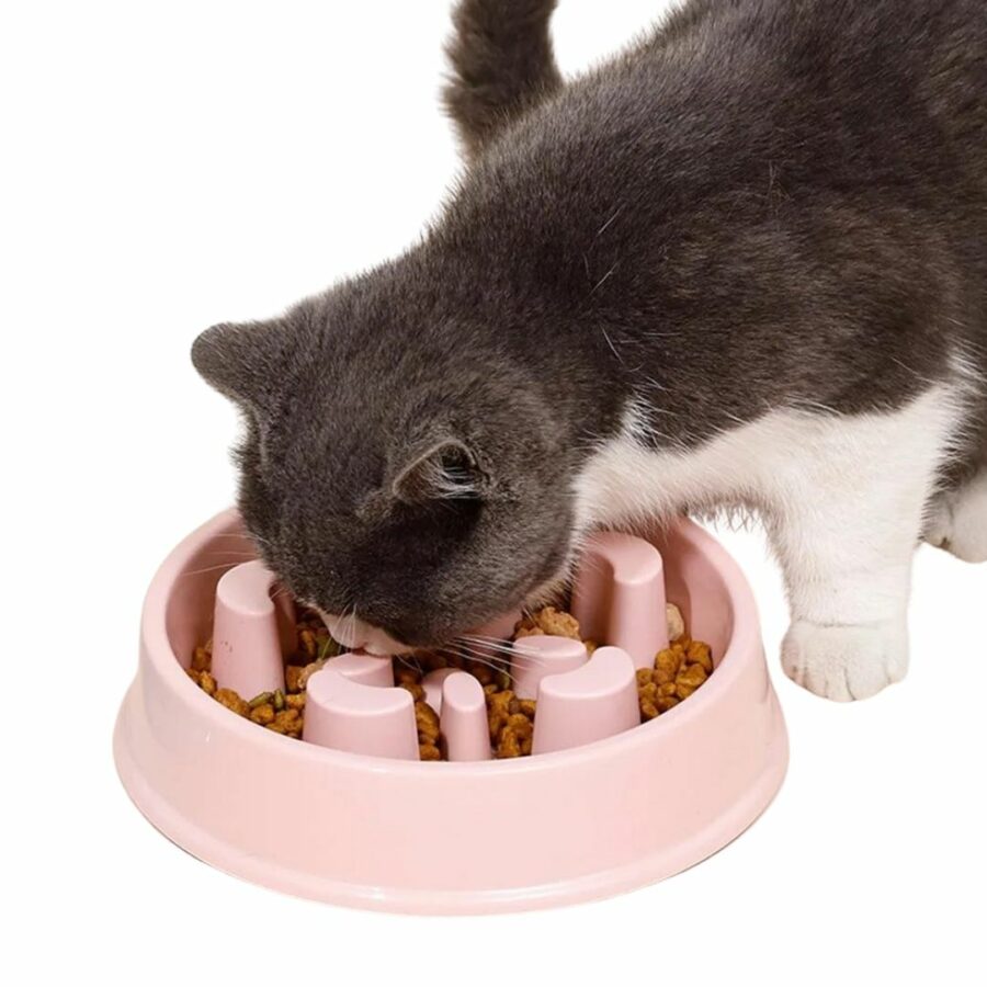 Gamelle anti glouton pour chat rose avec un chat gris et blanc qui mange sur fond blanc