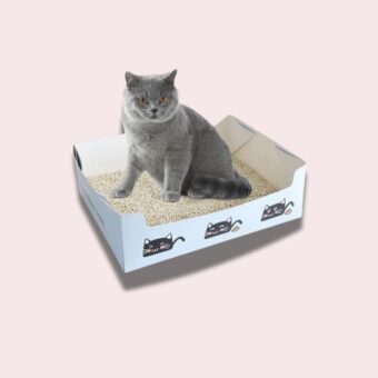 Un chat assis dans une boite à litière en carton jetable remplie de sable.