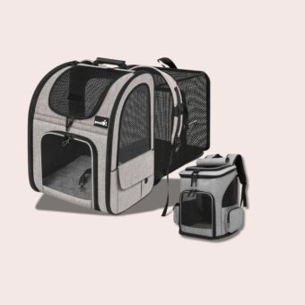 Caisse de voyage pour chat aux multiples usages