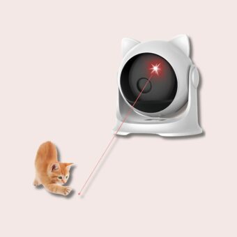 Un jeune chat joue avec un point rouge que lui envoie son jouet laser interactif sur le sol.