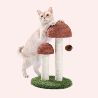 Petit arbre à chat en forme de champignon avec un chat blanc appuyer dessus sur ses pattes arrière, sur un fond rose.