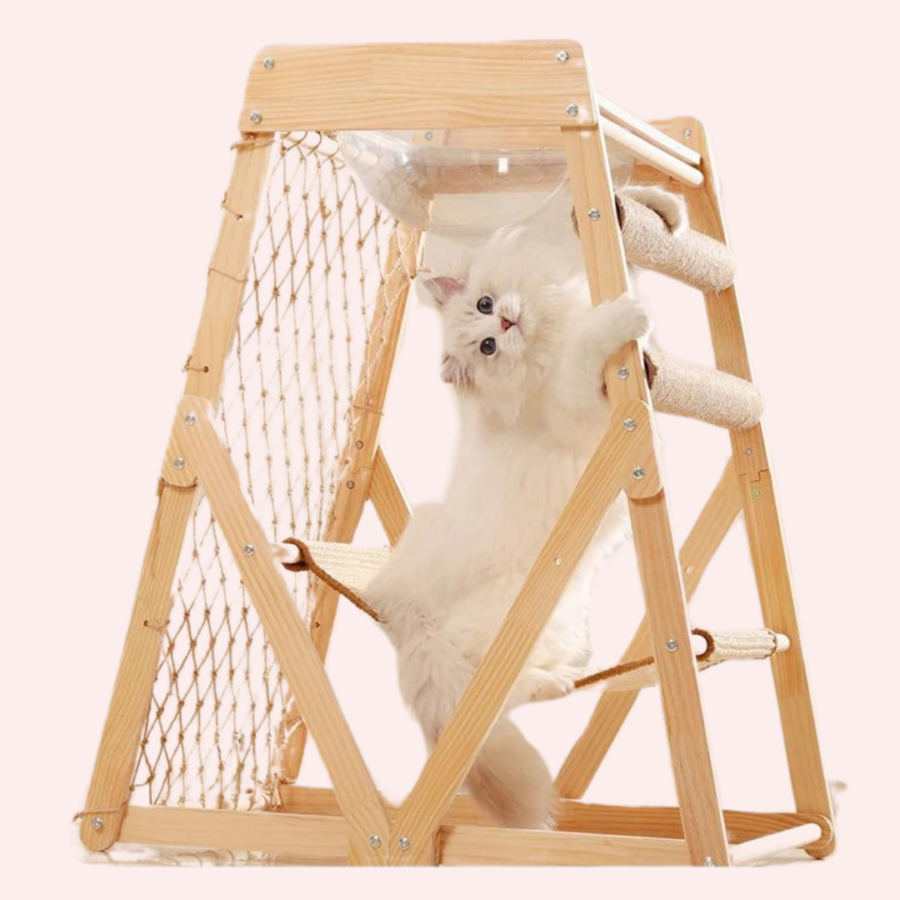 Arbre à chat escalade pour chat avec un chat blanc dedans sur fond rose