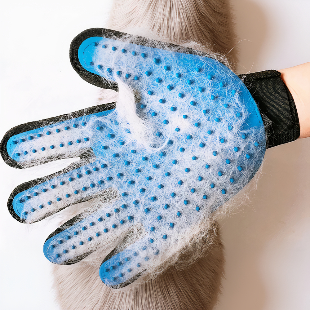 Gant de toilettage chat paire complète – Image 5