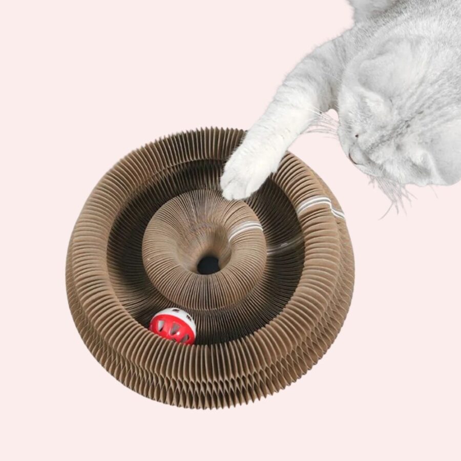 on voit la patte d'un chat qui s'amuse avec un jouet pour chat en carton ondulé, de forme ronde avec une balle à l'intérieur.