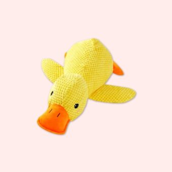 Peluche anti-stress canard pour chat